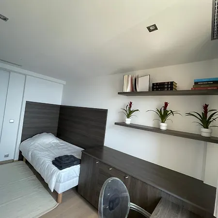 Apartment 3 Bedrooms Duplex Penthouse - Monaco Border 2min Walking Distance Roquebrune-Cap-Martin